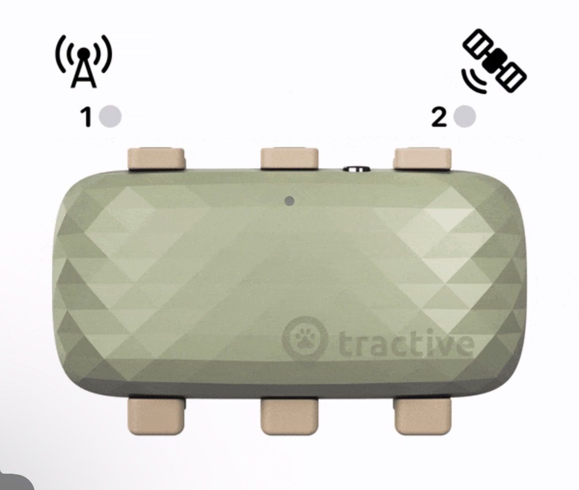 Altro in Accessori per animali: Tractive Dog XL – Usato da Ueken venduto da PBeck01