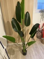 Künstliche Strelitzia Pflanze grün im Topf neuwertig