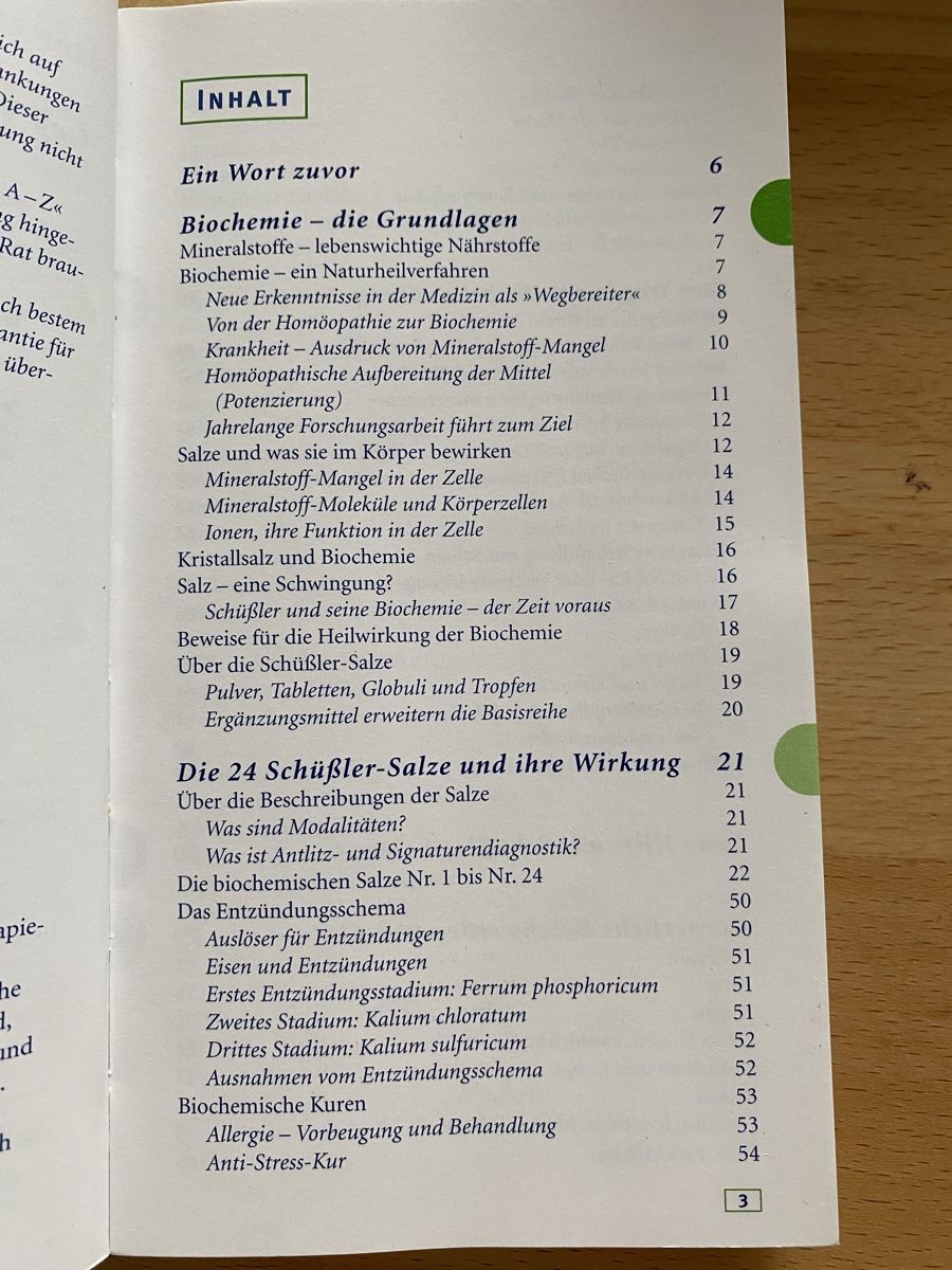 Libri: Schüssler-Salze - Günther H. Heepen – Usato da Schwarzenburg venduto da Michellu 5