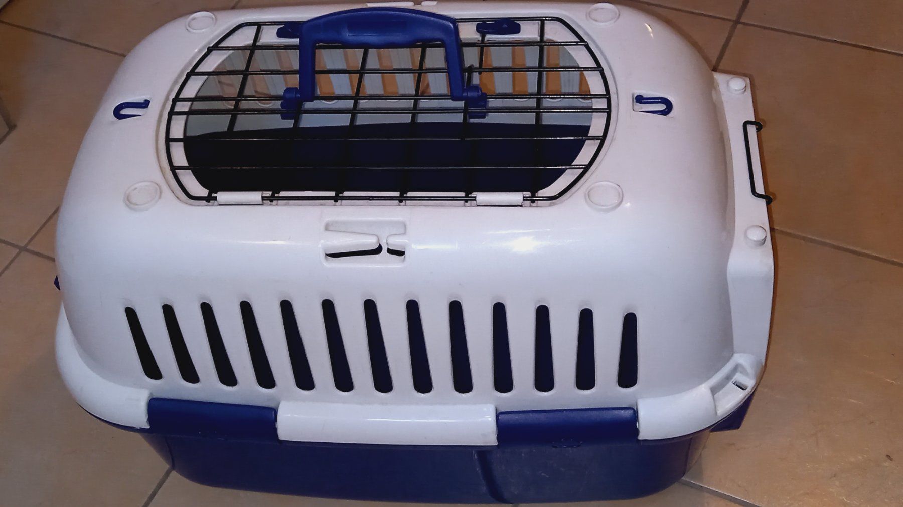 Käfige, Transport & Sicherheit: Transportbox Europet Bernina – Gebraucht aus Brünisried von san_74_bu