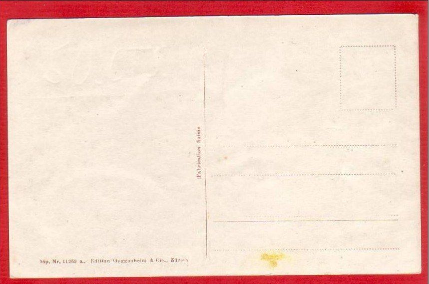 Cartoline postali: CHAM – Usato da Grüningen venduto da Kartenlaube 1