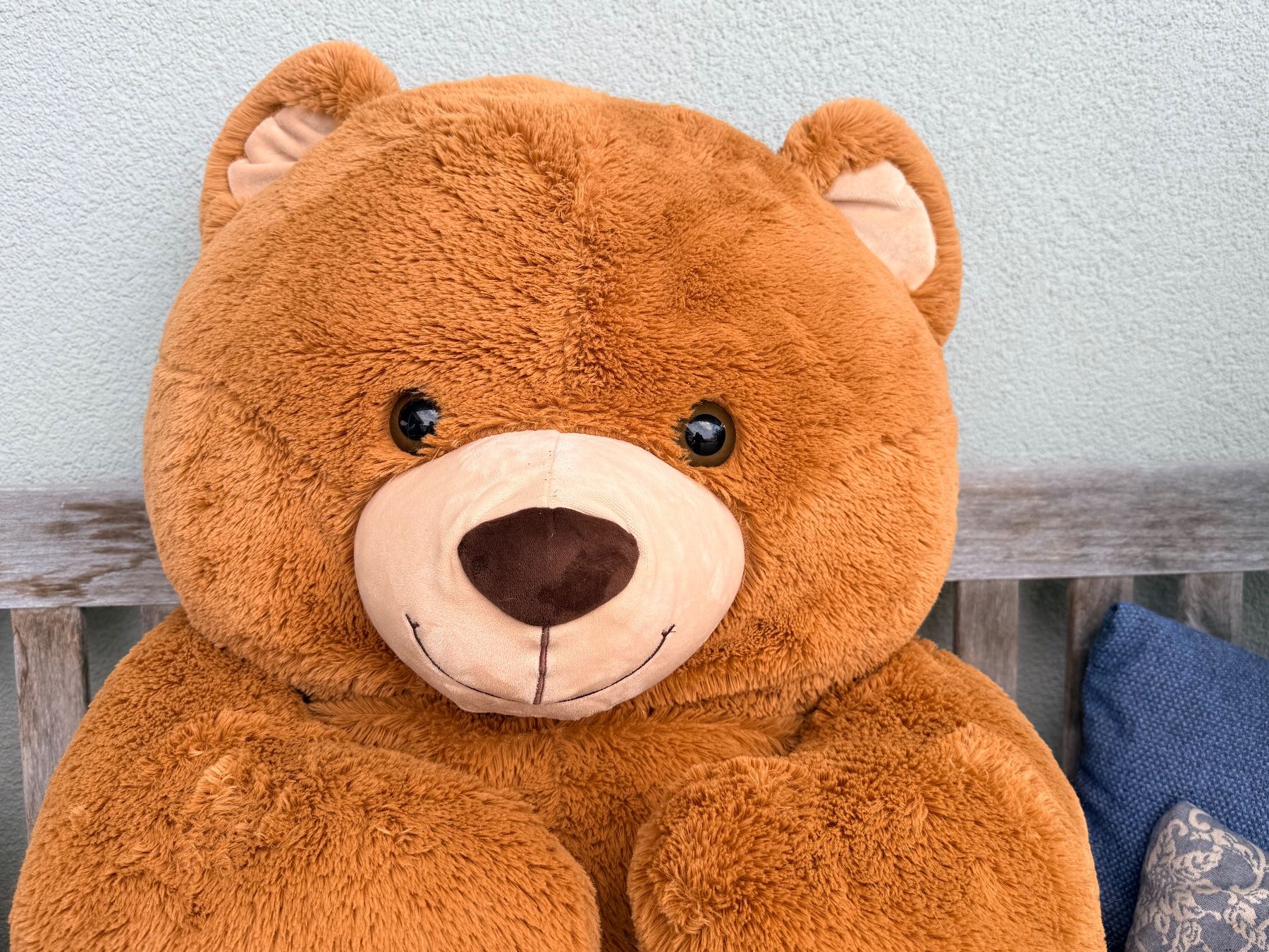 Spielzeuge: Teddy Bär – Gebraucht aus Wengi b. Büren von switte 1