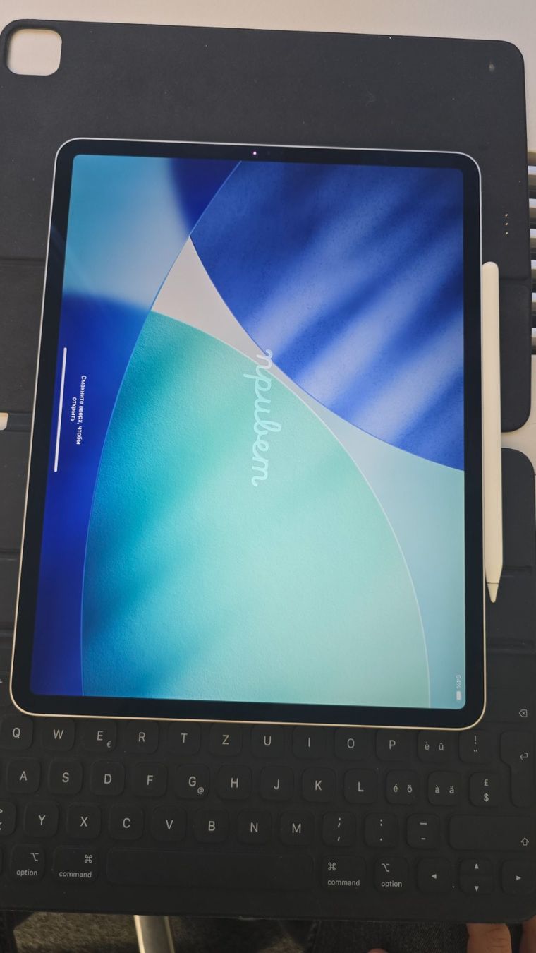 Apple Tablet PC: iPad Pro 12.9 " / Zoll, 4. Generation (10) – Gebraucht aus Winterthur von GreenSkyline 1
