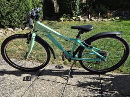 Kindervelo Crosswave 24"