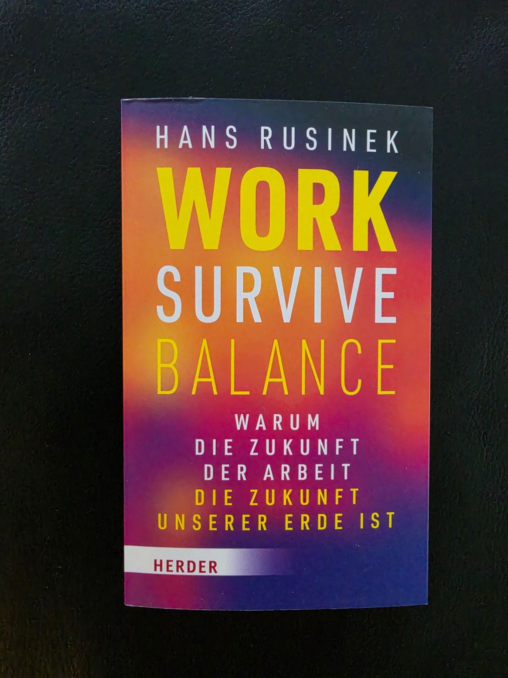 Bücher: Buch "WORK SURVIVE BALANCE" von Hans Rusinek – Neu (gemäss Beschreibung) aus Wald AR von Gissgigi