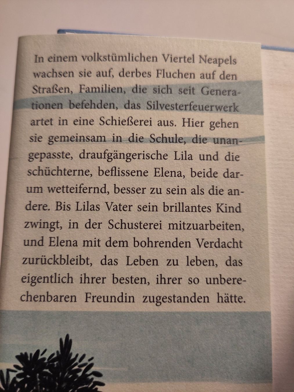 Libri: Meine geniale Freundin - Elena Ferrante – Usato da Bülach venduto da Tiefschlaflos 1