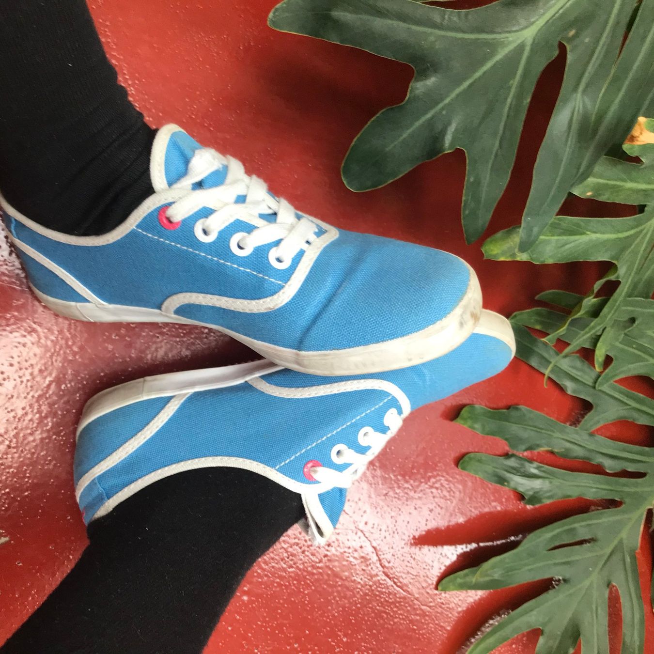 Scarpe da donna: HELLBLAUER MEXX SOMMER SNEAKER – Usato da Basel venduto da jillybean 2