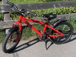 Kinderfahrrad Frog, 16 Zoll