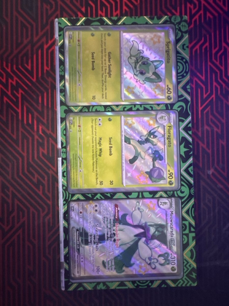 Pokémon Carte collezionabili: Pokemon Set Shiny Meowscarada Evolutionline (each Promo SV) – Usato da Winterthur venduto da Ryolu