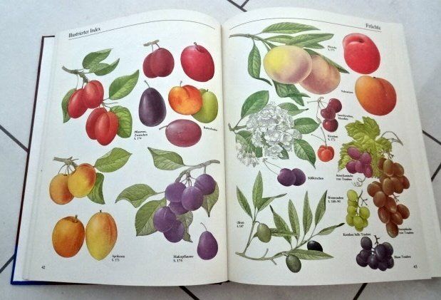 Livres: Selbstversorgung aus dem Garten – D'occasion à Wetzikon ZH par strubeli024 2