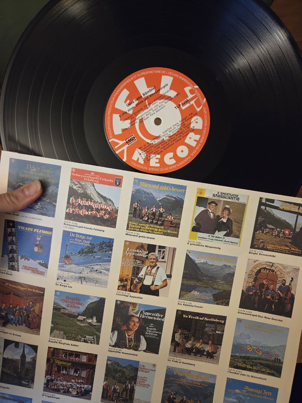 Dischi in vinile: Üses Liebs Bärnbiet - Jodelduett + Schwyzerörgeli Quartett – Usato da Jegenstorf venduto da AloeVera19 2