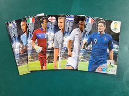 Panini-Bilder FIFA 2014