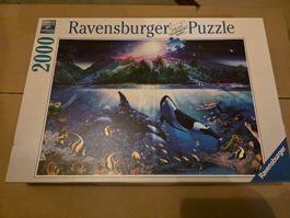 Ravensburger Puzzle Orcas 2000 Teile