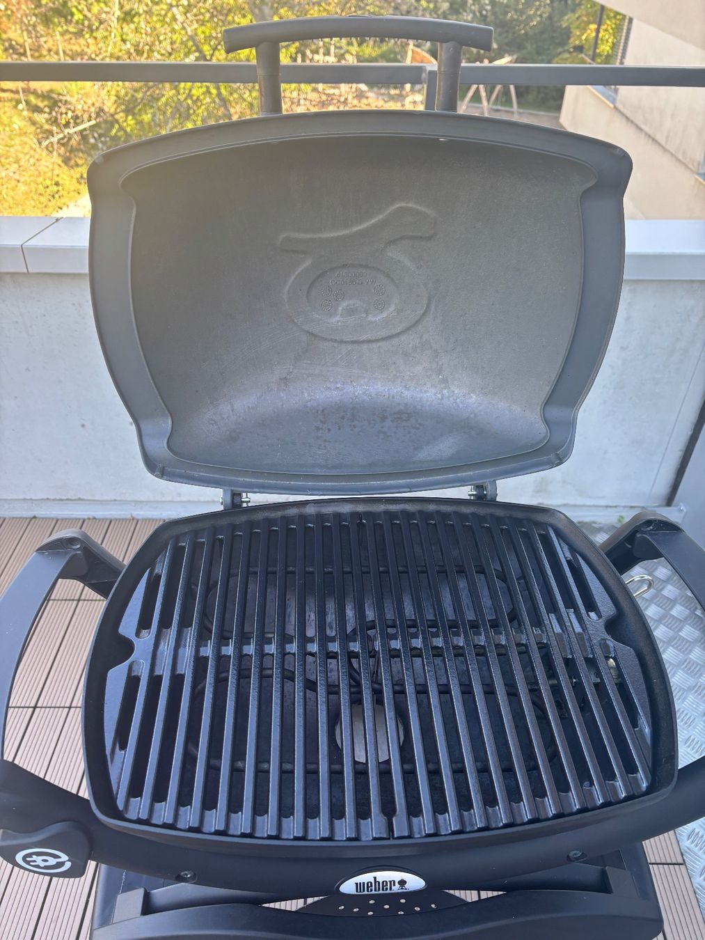 Griglie: Weber Grill elektrisch Q1400 – Nuovo (secondo la descrizione) da Zürich venduto da Ciaeli 1