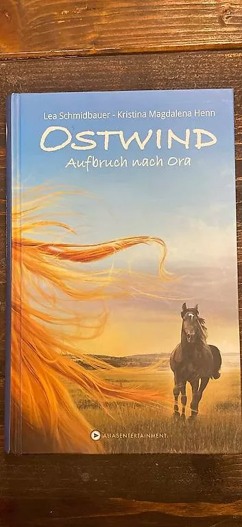 Libri: 3 Mädchen-Bücher Ostwind – Usato da Hasliberg Hohfluh venduto da Bambi6083 2