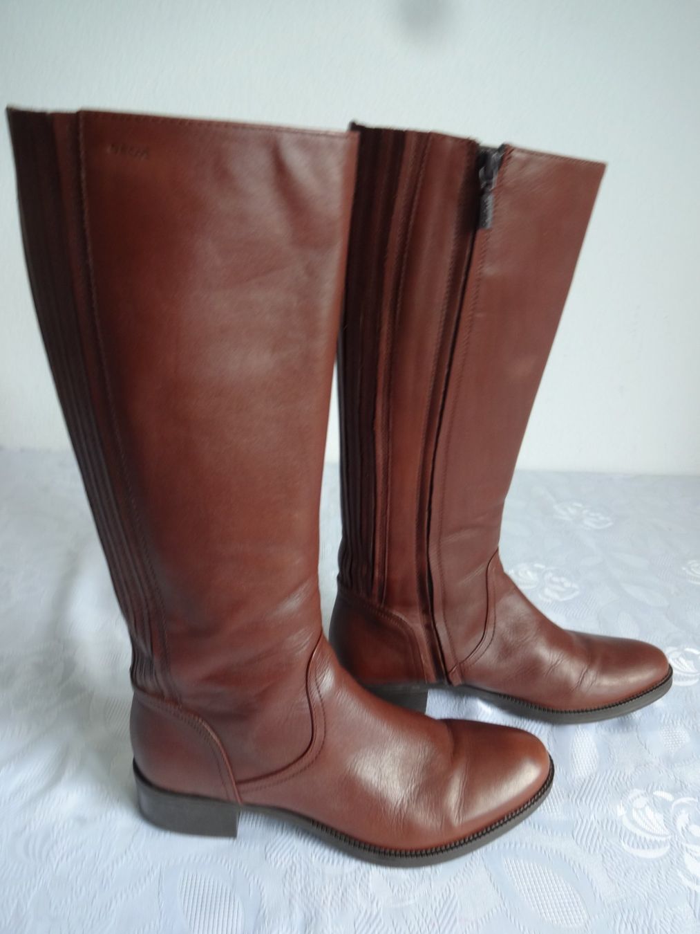 Geox Scarpe da donna: ""Geox"" Stiefel Nr.37.5 – Usato da Frauenfeld venduto da rey06