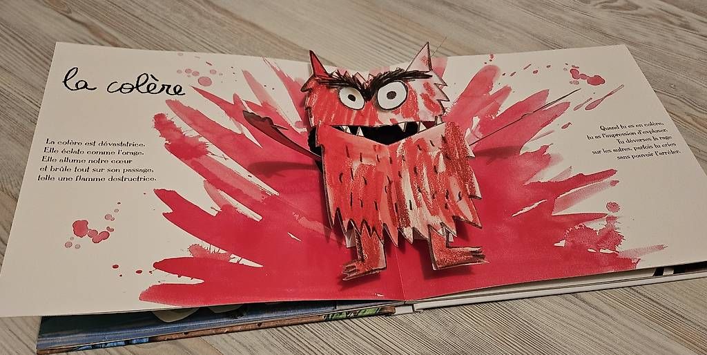 Libri: Livre couleurs des émotions – Usato da Fully venduto da cvivi75 2