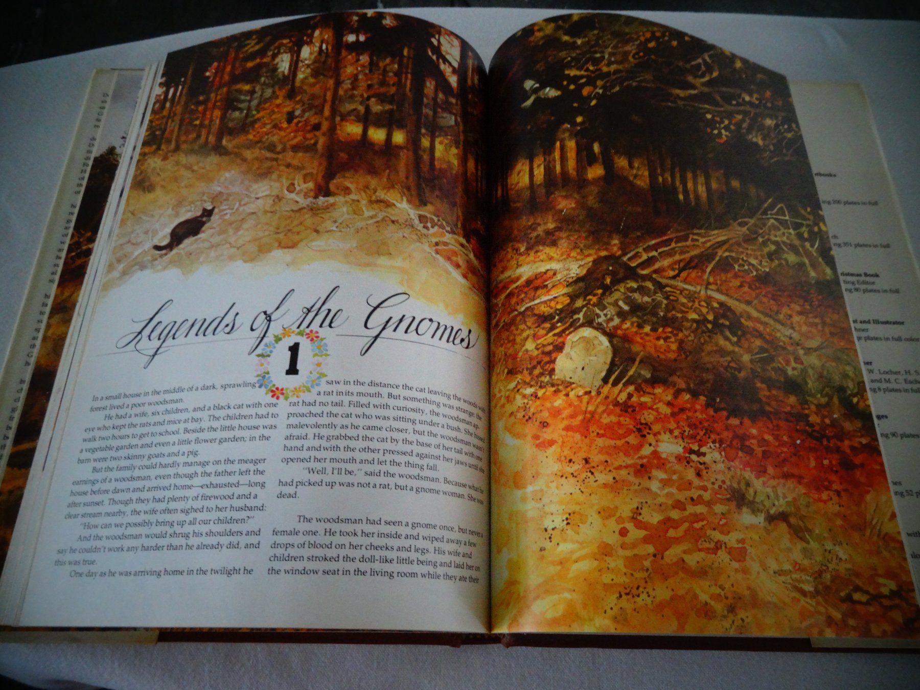 Bücher: Gnomes – Gebraucht aus Neerach von jenny062 7