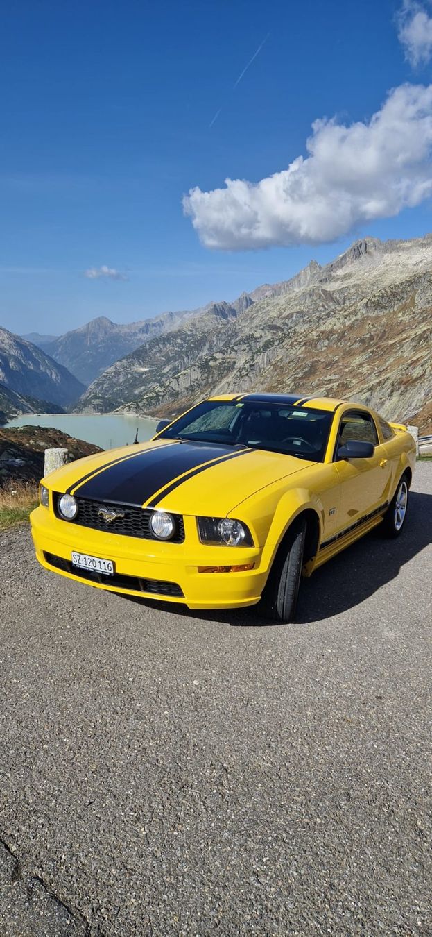 Ford Automobili: Ford Mustang – Usato da Ibach venduto da mar_q25f 1