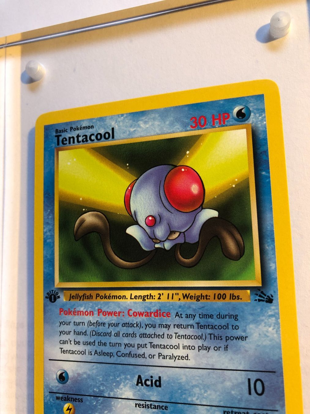Carte collezionabili: Tentacool 1st Fossil - MINT - ab 1.- – Usato da Giubiasco venduto da dan_pr8b 3