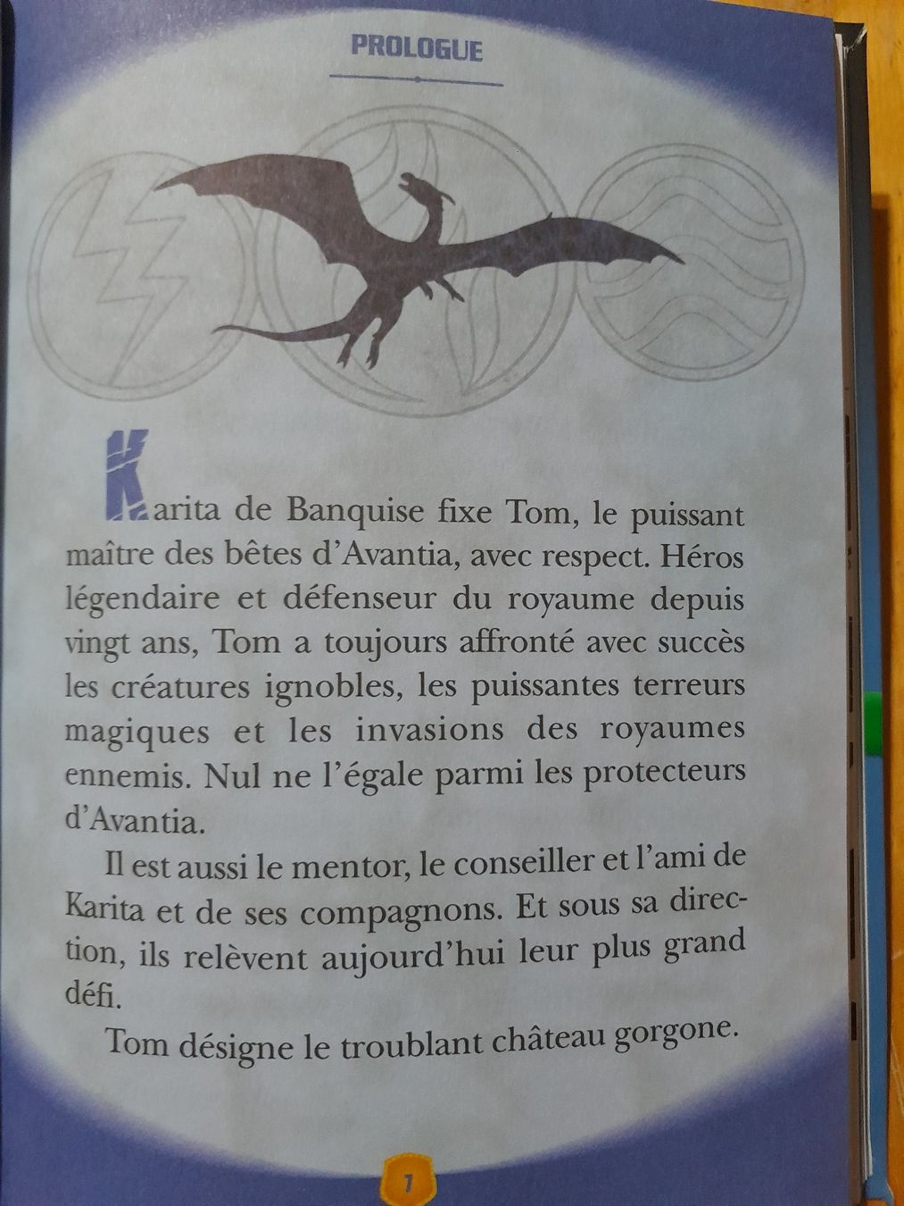 Libri: Beast Quest Nouvelle Génération; Les Origines – Usato da Grolley venduto da Montana78 3