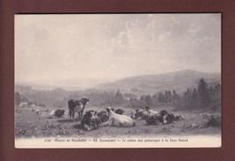LA JOUX PERRET - Pâturages par Ed. Jeanmaire