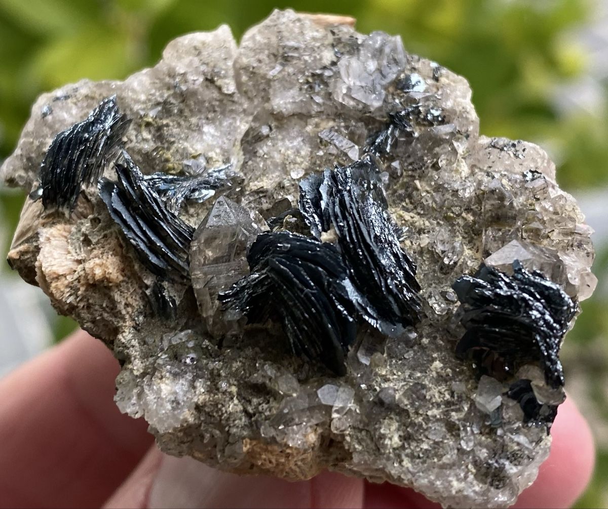 Minerali & Pietre curative: Wunderschöne Eisenrosen  – Usato da Selzach venduto da 321compac 2