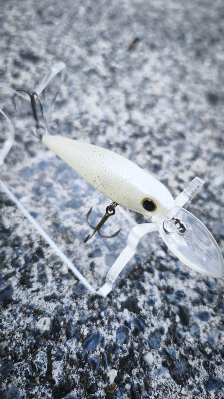 Appâts: Lucky Craft Bevy Shad 60 SP – D'occasion à Sarnen par sebalant 3