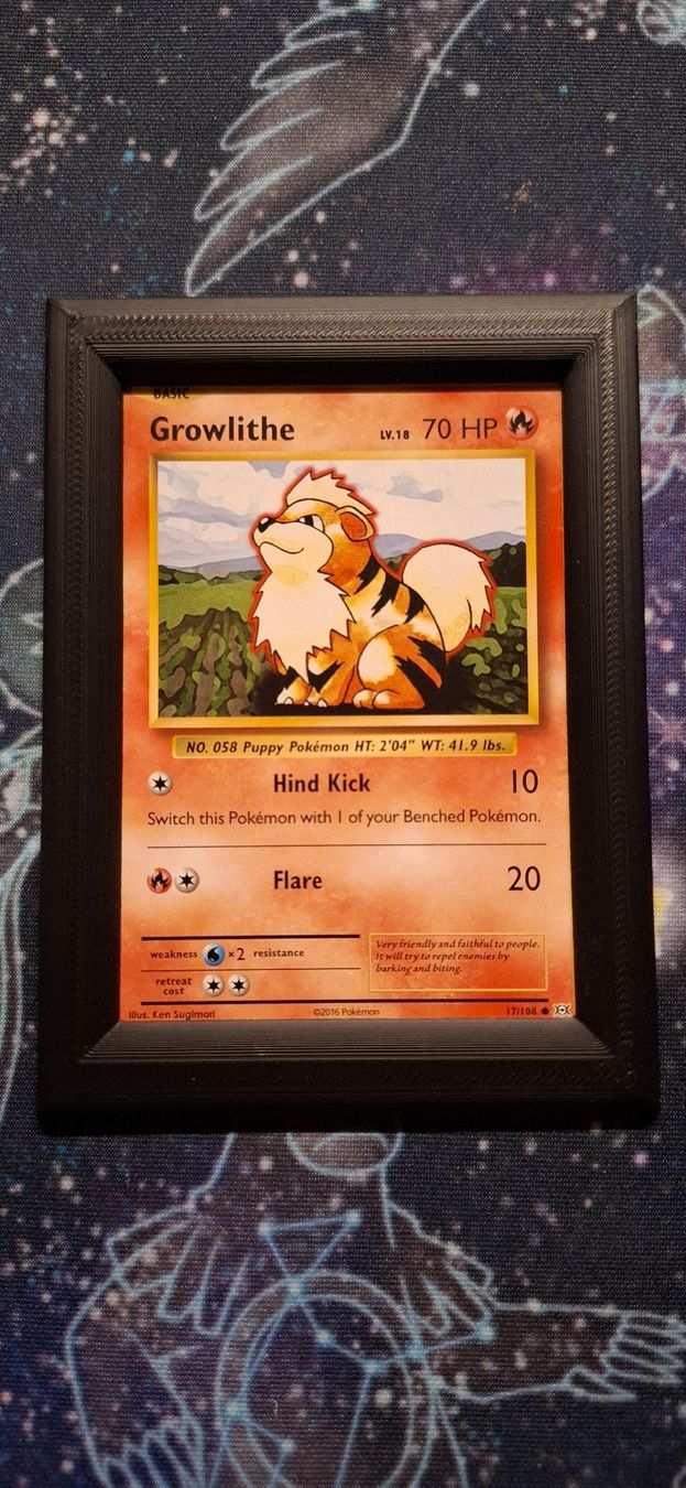 Pokémon Sammelbilder & Trading cards: Growlithe 17/108 - Pokemon Evolutions ENG – Neu (gemäss Beschreibung) aus Petit-Lancy von Kara_TCG