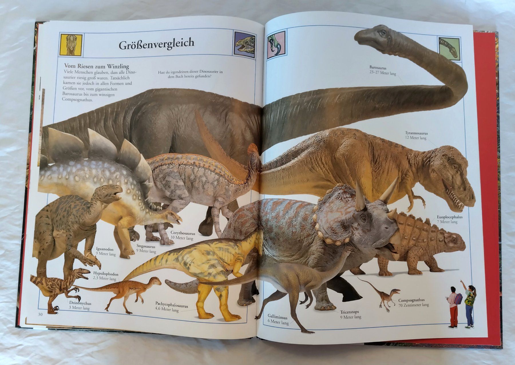 Libri: Das grosse Bilderlexikon der Dinosaurier / Grosses Format – Usato da Bellach venduto da JingleJerry 7