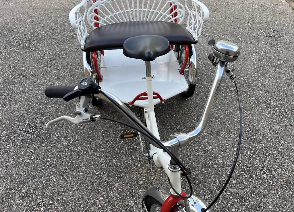 Biciclette: Unica bicicletta tre ruote  – Usato da Quartino venduto da DiloUsato 2