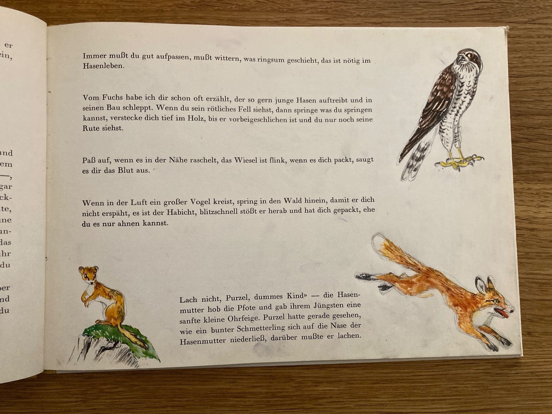 Livres: Purzel - eine Hasengeschichte – D'occasion à Winterthur par Quilterin 2