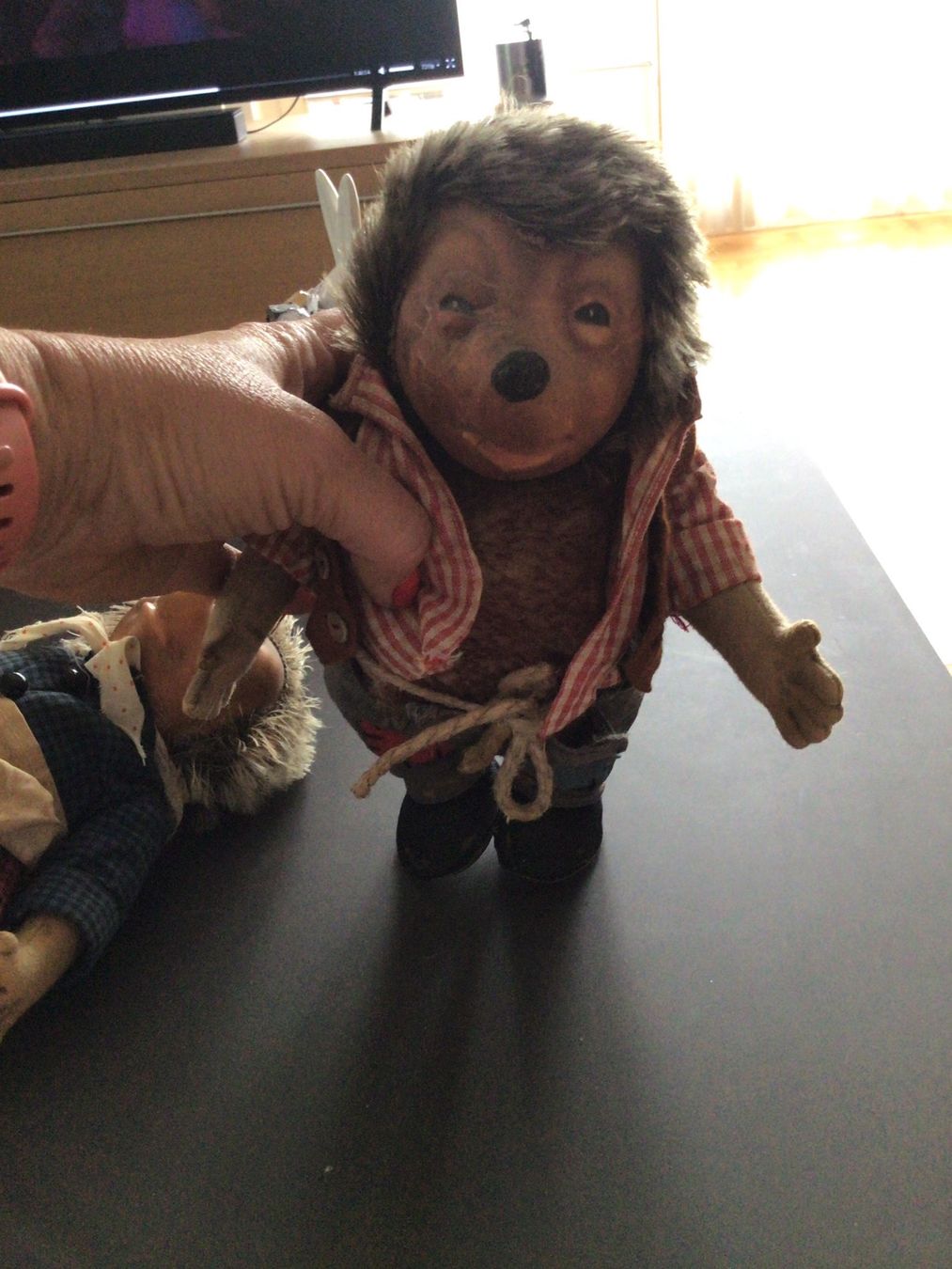 Steiff Giocattoli: Steiff Igel Igelpaar vintage – Usato da Riedikon venduto da Winter21. 3