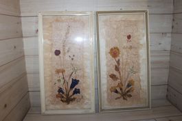 2 Bilder mit getrockneten Blumen Edelweiss etc. 20 x 38 cm