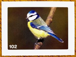 Migros Nature Detectives - Bild Nr. 102