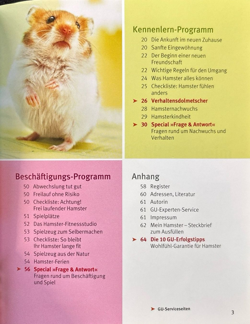 Bücher: Lange Monika, Hamster glücklich & gesund – Neu (gemäss Beschreibung) aus Sarnen von Livres 3