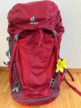 Deuter Futura 24l SL Damen Rucksack, neu!