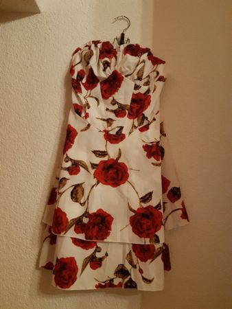 wunderschönes weiss rotes Kleid rosen