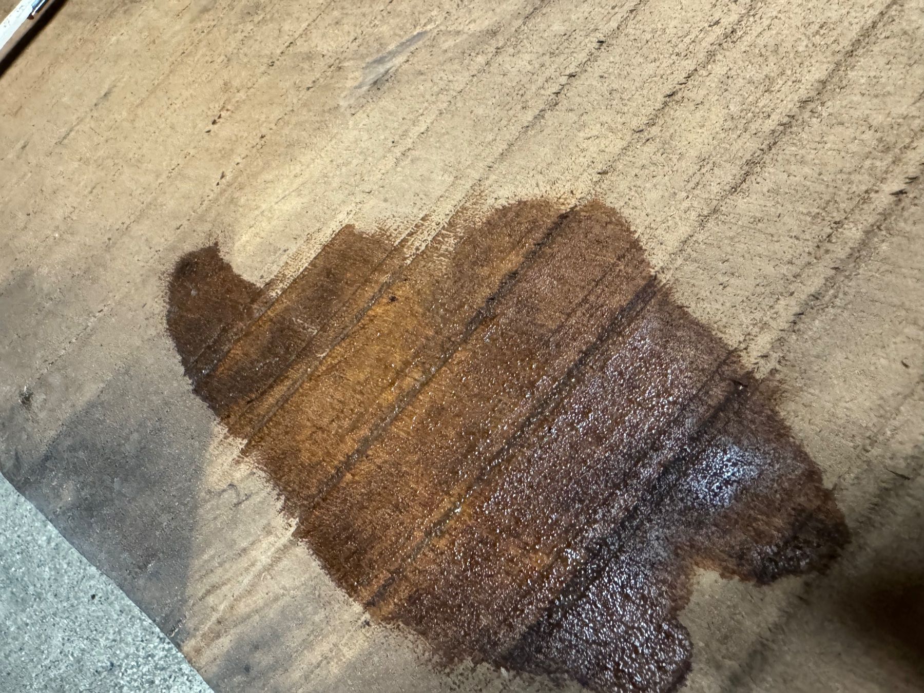 Articoli in legno: Massivholzplatte – Nuovo (secondo la descrizione) da Kestenholz venduto da cvx_889vv 5
