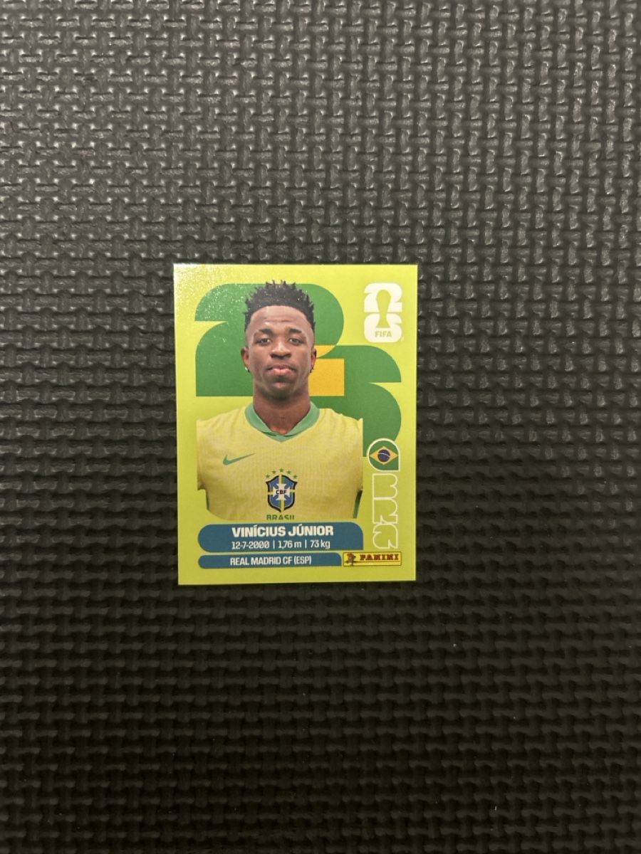 Panini Sammelbilder & Trading cards: Panini BRA14 Vinicius Junior – Neu (gemäss Beschreibung) aus Hilterfingen von kin_zx9j