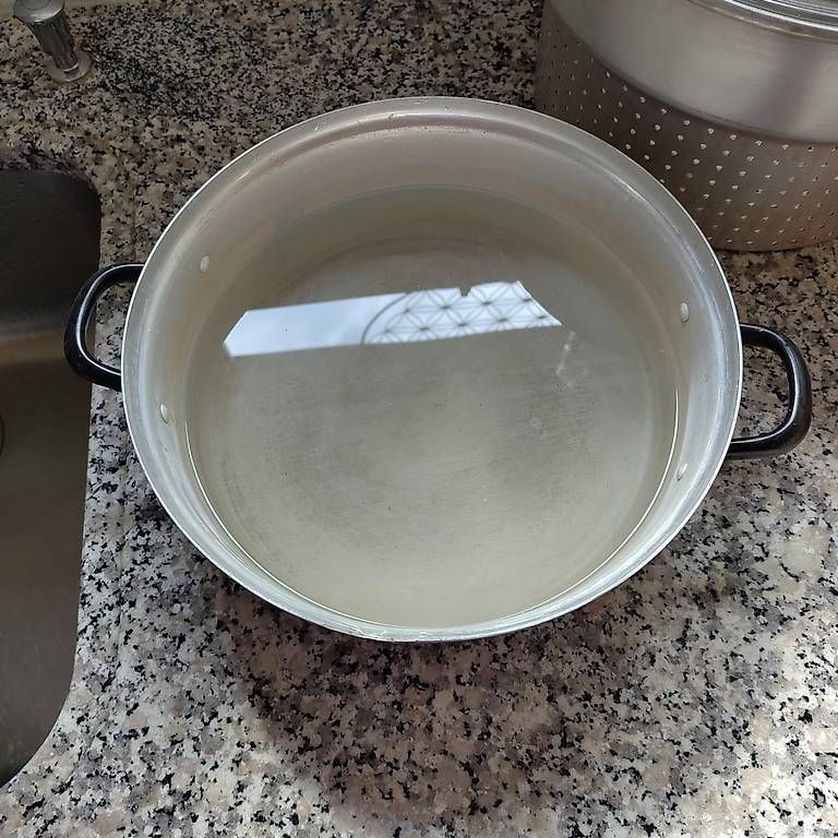 Elettrodomestici da cucina: Dampf Entsafter Aluminium – Usato da Zürich venduto da sim_ykb6 2