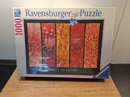 Ravensburger Puzzle 1000 Teile Beauty of Nature OVP