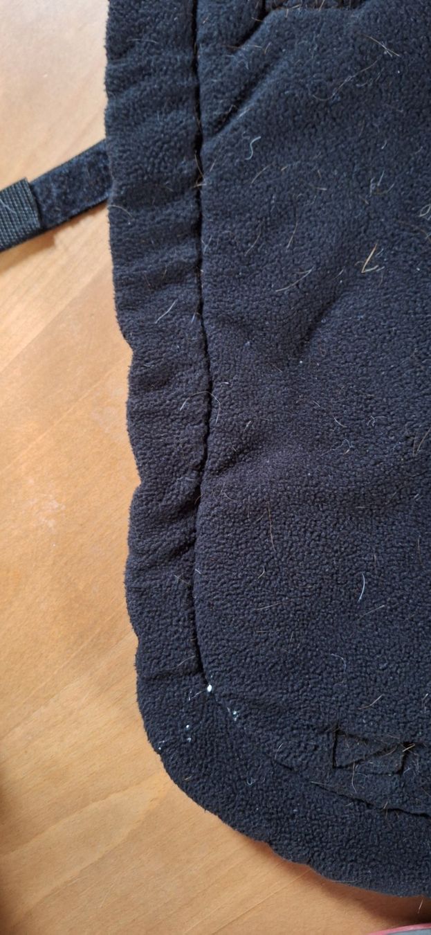 Coperte: Neuwertige Schabracke - DR – Usato da Milken venduto da Dnybe 2