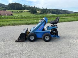 Hoflader / Lader Motor Mulli 