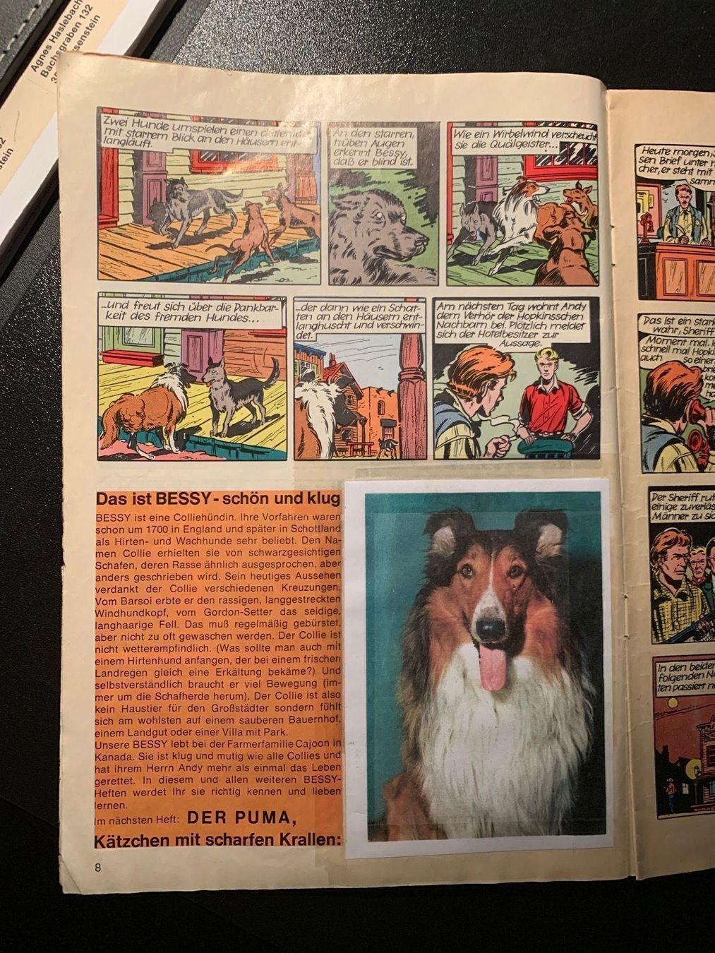 Comics: Bessy Nr. 1 Original 1. Auflage Bastei – Gebraucht aus Gysenstein von Comic_sammler 3