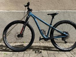 Vpace Hardtail Mountainbike