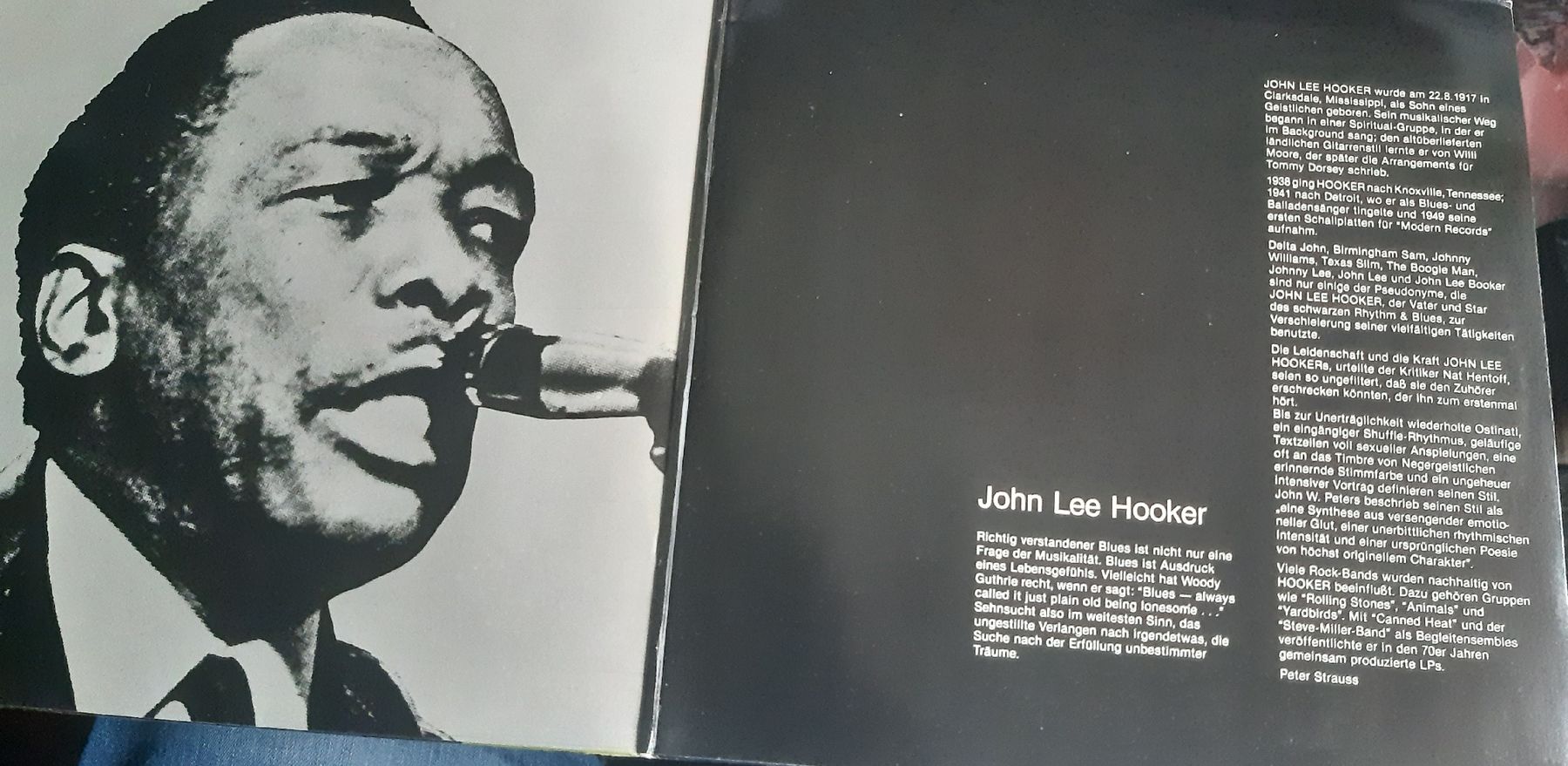Dischi in vinile: JOHN LEE HOOKER: Portrait – Usato da Frick venduto da kyb_yq8h 1
