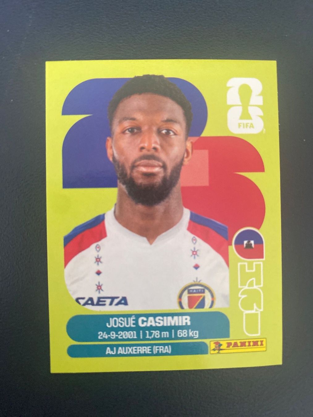 Panini Carte collezionabili: Panini FIFA World Cup Sticker HAI 16 – Usato da Glattbrugg venduto da riseca
