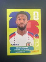 Panini FIFA World Cup Sticker HAI 16