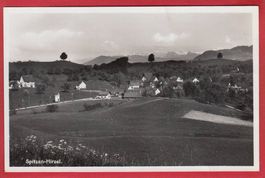 SPITZEN-HIRZEL